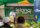 Pj. Walikota Lhokseumawe, Apresiasi Gelar Lelang Expo KPNL 2023