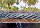 Cerita Sukses Warga Muara Batu Budiaya Ikan Lele Dengan Sistem Bioflok