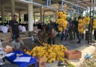 Perayaan Maulid di ALue   Bungkoh ; Masih Berpegang Pada Tradisi Leluhur