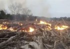 Kebakaran Tumpukan Kayu Sisa Banjir di Langkahan Meluas, Merambah Kebun Sawit Warga