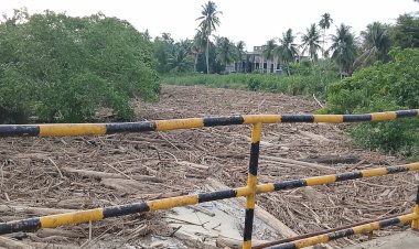 Gelondongan Kayu Kembali Menumpuk di Sungai Parang IX, LIMA Minta Penanganan Serius