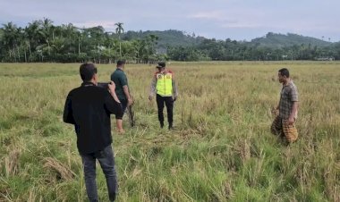 Warga Tanah Luas Ditemukan Meninggal di Tengah Sawah, Diduga Tersambar Petir
