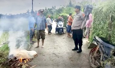 Tertimpa Patahan Pohon Kelapa, Petani di Aceh Utara Meninggal Dunia