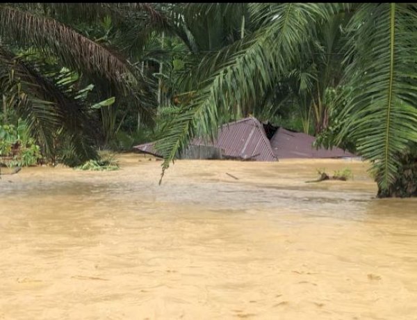 Rumah Hanyut Diterjang Banjir, Lansia di Aceh Utara Masih Menunggu Janji