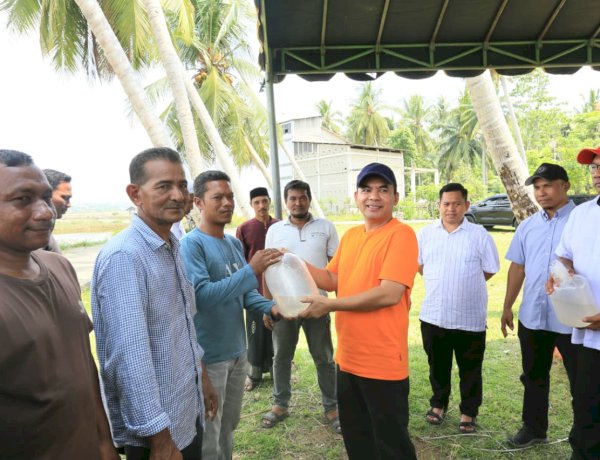 Wali Kota Lhokseumawe Serahkan Bantuan Benur Udang Vaname di Blang Mangat