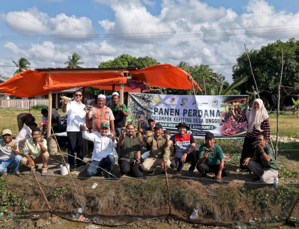 Panen Perdana Kepiting di Teupin Kuyun, Dorong Ekonomi Pesisir Berbasis Masyarakat