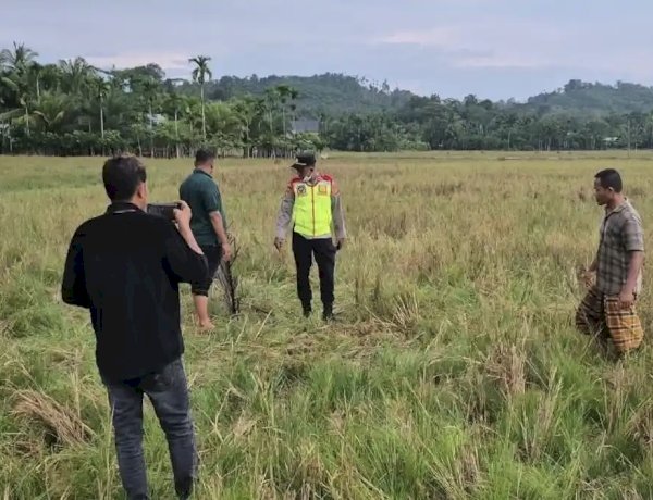 Warga Tanah Luas Ditemukan Meninggal di Tengah Sawah, Diduga Tersambar Petir