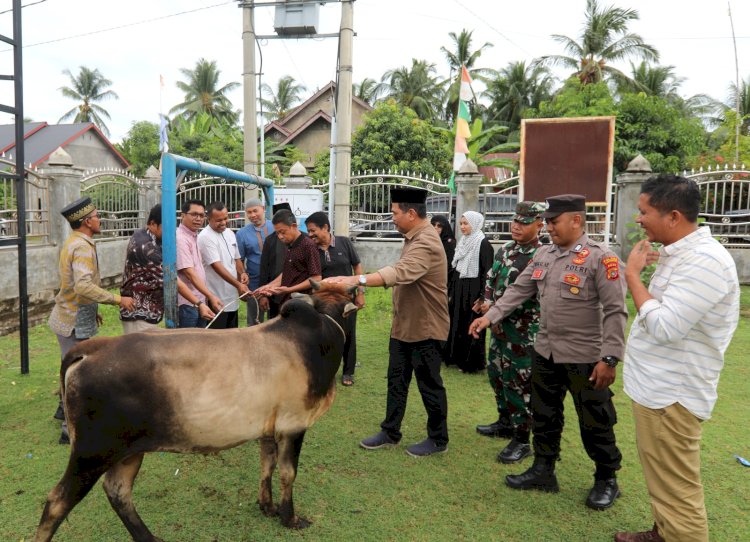 Pemko Lhokseumawe Bantu Hewan Kurban, Bagi Desa yang Tak Mampu