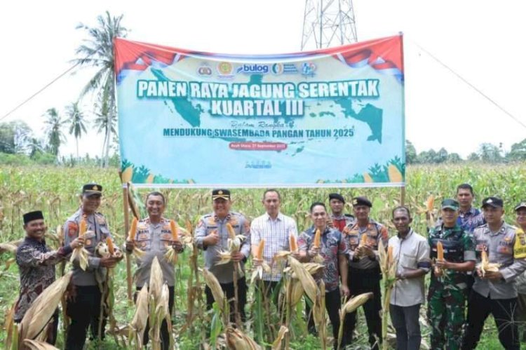 ‎Panen Raya Jagung di Aceh Utara Jadi Langkah Konkret Dukung Swasembada Pangan