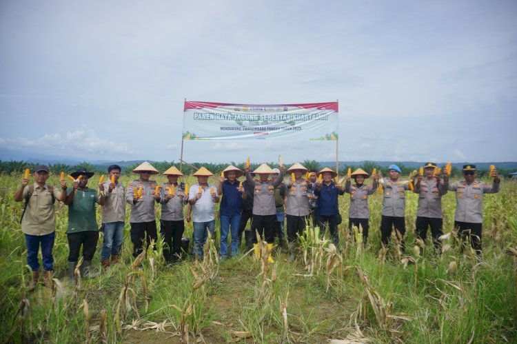 Polres Lhokseumawe Panen Raya Jagung Serentak Kuartal III, Perkuat Ketahanan Pangan Nasional 2025