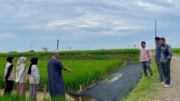‎Petani Aceh Utara Adopsi Pertanian Cerdas, Program Smart Minapadi BEM Unimal Tunjukkan Hasil Nyata