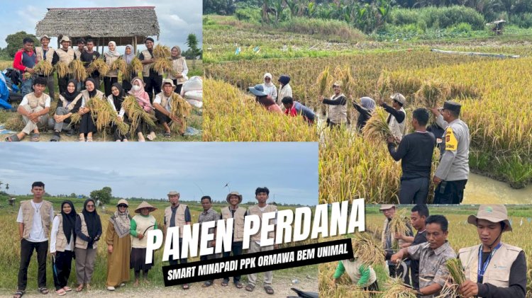 BEM Unimal Sukses Panen Smart Minapadi di Aceh Utara, 400 M² Lahan Hasilkan 335 Kg Padi dan 108 Kg Ikan