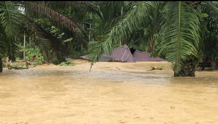Rumah Hanyut Diterjang Banjir, Lansia di Aceh Utara Masih Menunggu Janji