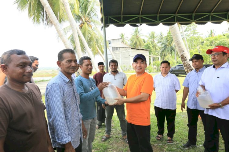 Wali Kota Lhokseumawe Serahkan Bantuan Benur Udang Vaname di Blang Mangat