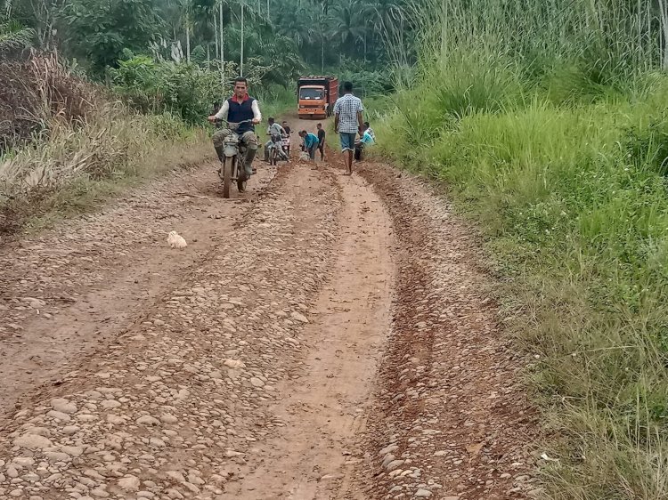 Warga Sido Mulyo Keluhkan Jalan Rusak Parah, Tuntut Janji Pembangunan Direalisasikan