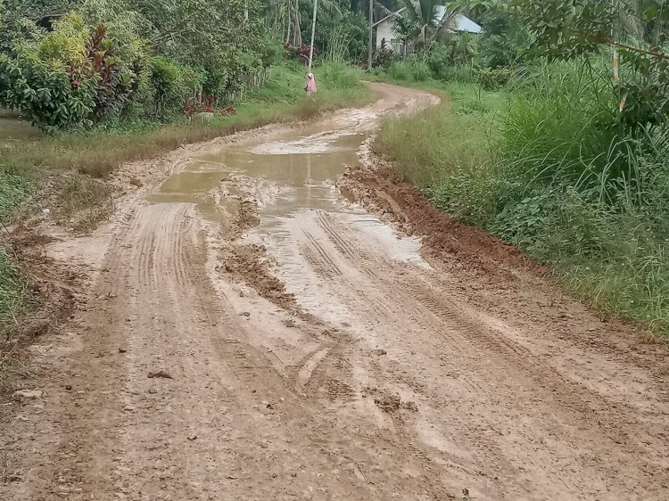 Warga Sido Mulyo Keluhkan Jalan Rusak Parah, Tuntut Janji Pembangunan Direalisasikan