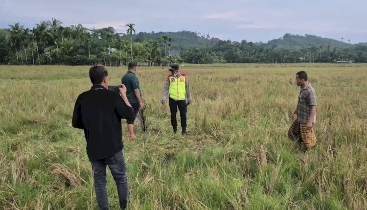 Warga Tanah Luas Ditemukan Meninggal di Tengah Sawah, Diduga Tersambar Petir