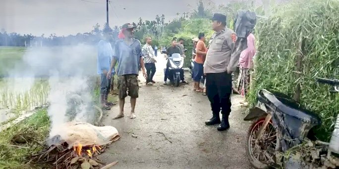 Tertimpa Patahan Pohon Kelapa, Petani di Aceh Utara Meninggal Dunia